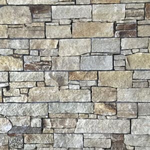 Gneiss Montaigut